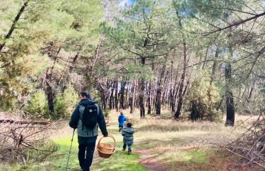 El Rincón de Willy - Foto 21