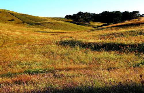 Insel Landhaus Feuerstein - Foto 68