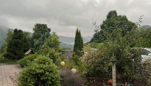 Unter den Wolken - Foto 3, Garden