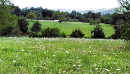 Le Jardin de Lyno - Foto 5, Garden, Garden view