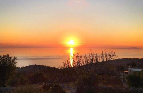 Avgonima All Seasons Hotel - Photo 20