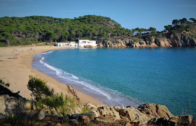 Apartamentos Laura Mar - Foto 1