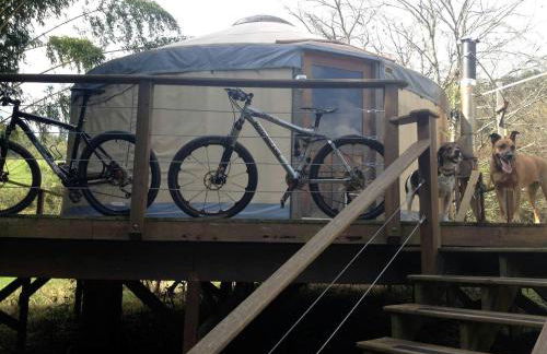 Magical Marshall Accommodation Ideal for a Peaceful Getaway in North Carolina - Foto 15