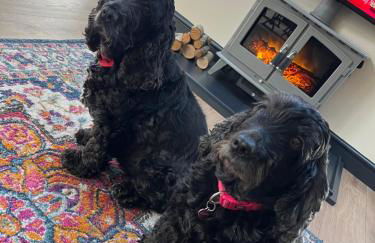 Converted Welsh Sunday School with Sea View & Garden on Anglesey - Dog Friendly - Photo 24