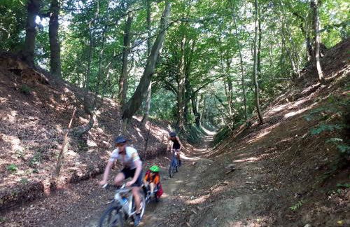 Gîte Au Cœur de Cassel - Foto 55