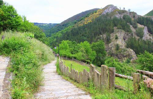 La Posada de Oscos - Foto 46