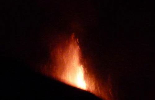 Biologico Dell'Etna - Foto 26