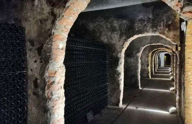 Bairrada Wine Region Tour - Photo 4