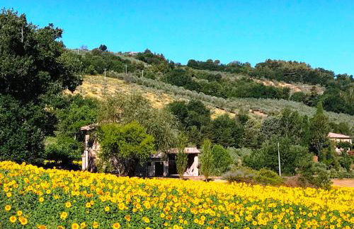 Appartamenti Verde Collina Umbra - Foto 26