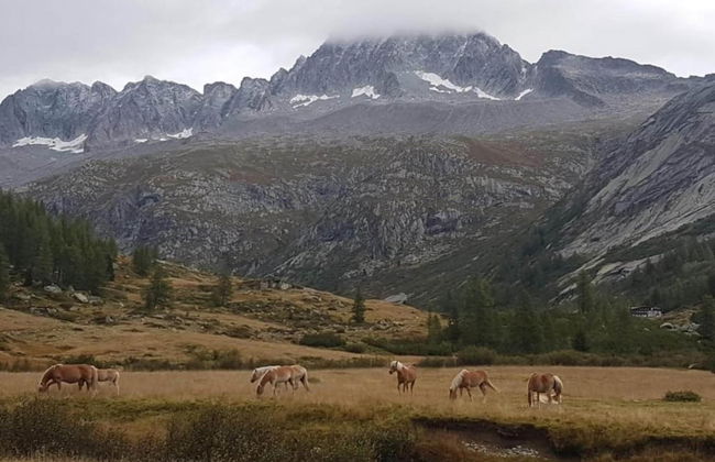 Flat by Lake Iseo With Mountain Views - Photo 33