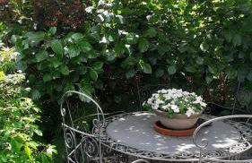 Casetta Camilla - Foto 23