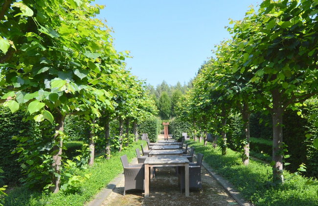 Grand Holiday Home in Alphen with Sauna & Hot Tub - Foto 58