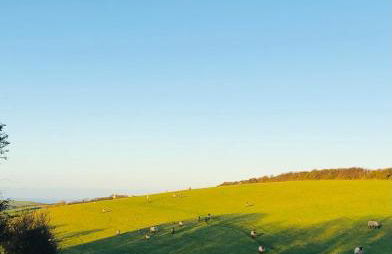 Downe Cottages - Foto 63