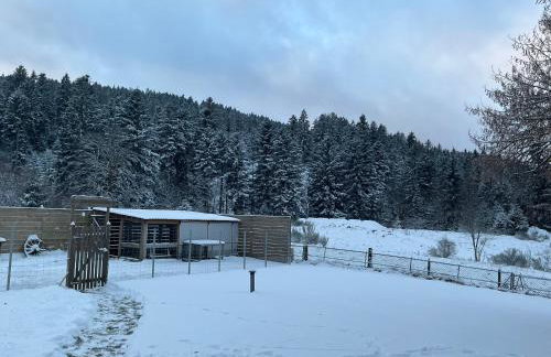 Gîte coquelicot les cœurs du tilleul - Photo 14