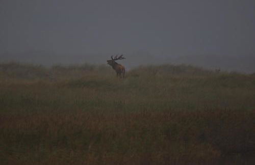 Ferienhaus Tura - Foto 43