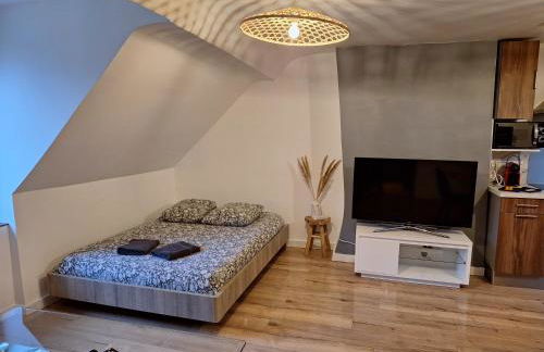 Faubourg des voyageurs 7 - T2 climatisé 4 personnes - proche axe autoroute et gare - Photo 9