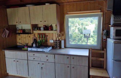 Domki w Bieszczadach - Foto 22