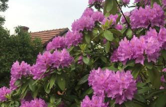 Holiday Home mit Wasserblick by Interhome - Foto 26