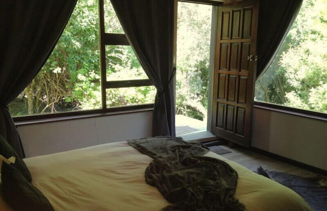 Clairewood - Foto 15