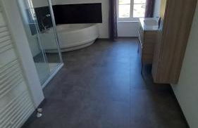 La Fleurière - Photo 14