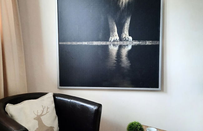 Kitzbühel Apartments Haus Brugger - Foto 14