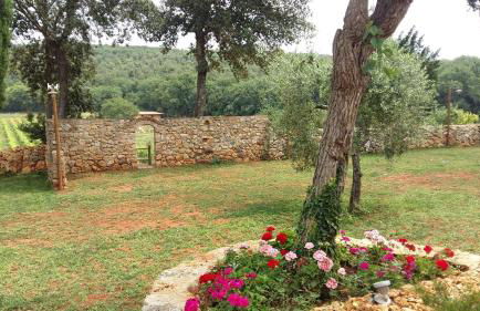 La Tenuta di Castelvecchio - Foto 3