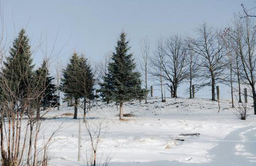 Drewniany Domek - Foto 22