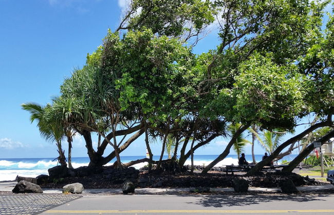 Maluhia Kahakai 2 Bedroom Condo by RedAwning - Foto 45