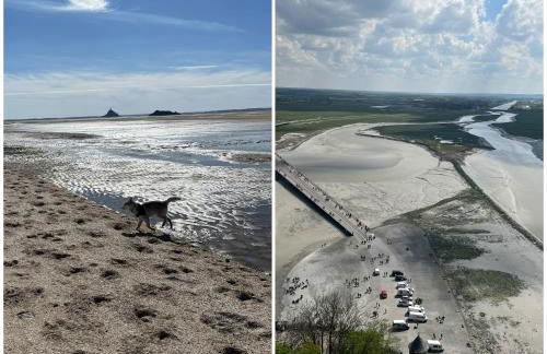 Gîte des Hirondelles n - Foto 40