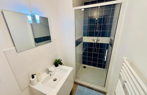 Le rêve bleu - Proche centre-ville - Saint-Etienne - Foto 14