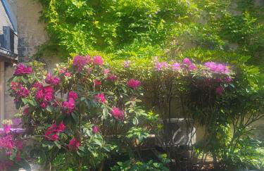 Au puits de l'abbaye - Foto 25