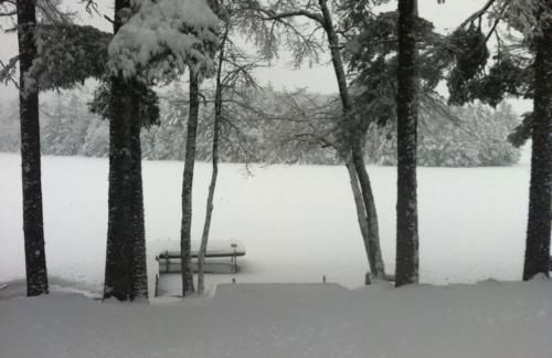 Quiet Maine Cabin Getaway - Foto 13