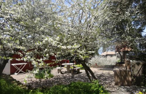 Casa Rural La Gustoza - Foto 42