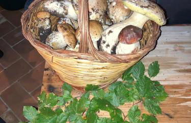 il peperino - Foto 27