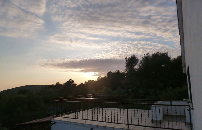 Apartments Oliva - Foto 16