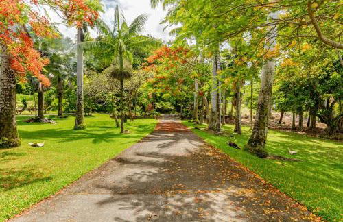 Grand Oceanfront Gated Estate on the Hamakua Coast - Foto 64