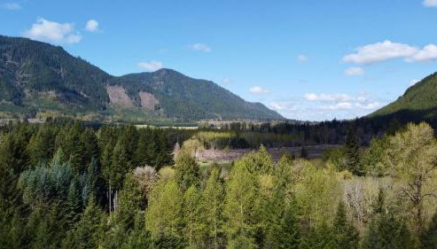 Enchanting Private Forest Retreat near Mt Rainier - Foto 5