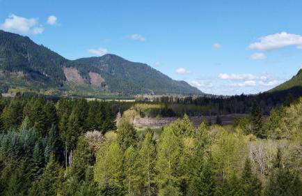 Enchanting Private Forest Retreat near Mt Rainier - Foto 5