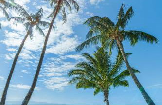 Castle at Moloka'i Shores - Foto 9