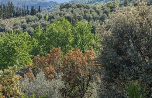 Cortijo La Viñuela - Foto 63