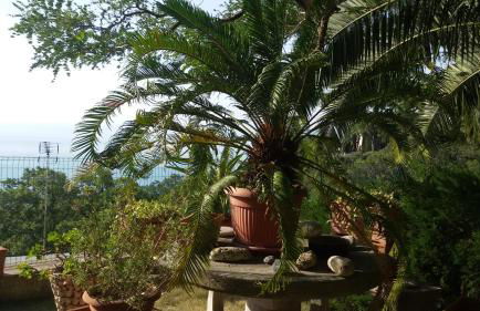 loft sul mare Sirolo - Foto 46