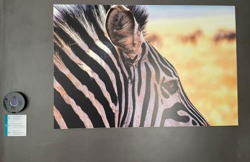 Fonoll Mari - Foto 3