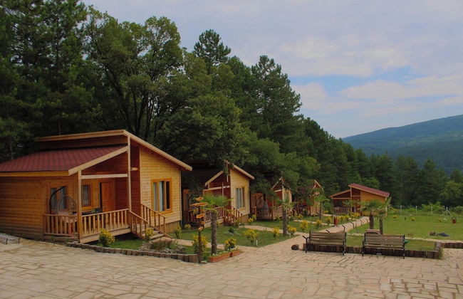 Koru Aura Mengen - Photo 23