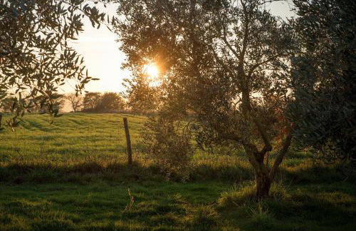 Agriturismo Bio Casale degli Orti - Foto 32