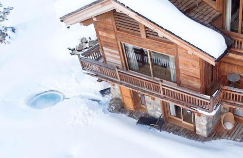 Chalet La Vigogne et Spa - Photo 25