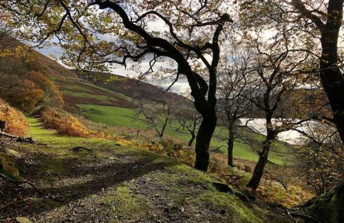Lakeside View With Hot Tub - Foto 18
