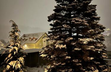 Elsa's Waldnest-Nähe Fichtelsee - Foto 29