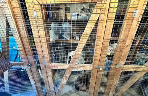 5 min walk to #1 beach in America Canal View - Foto 19