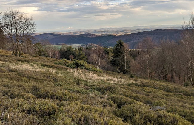 Charmantes Feriendomizil in Medebach - Foto 30