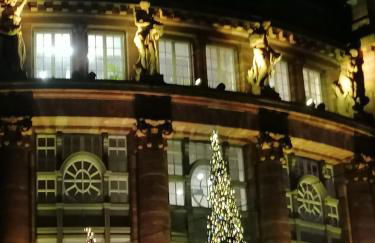 Strasbourg Pont de l'Europe - Foto 14